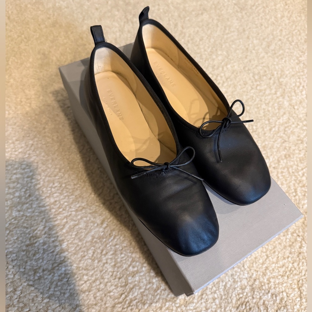 Everlane Leather Ballet Flats (Size 6)